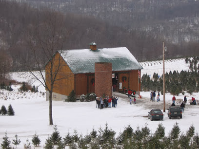 Grupp's Christmas Tree Farm