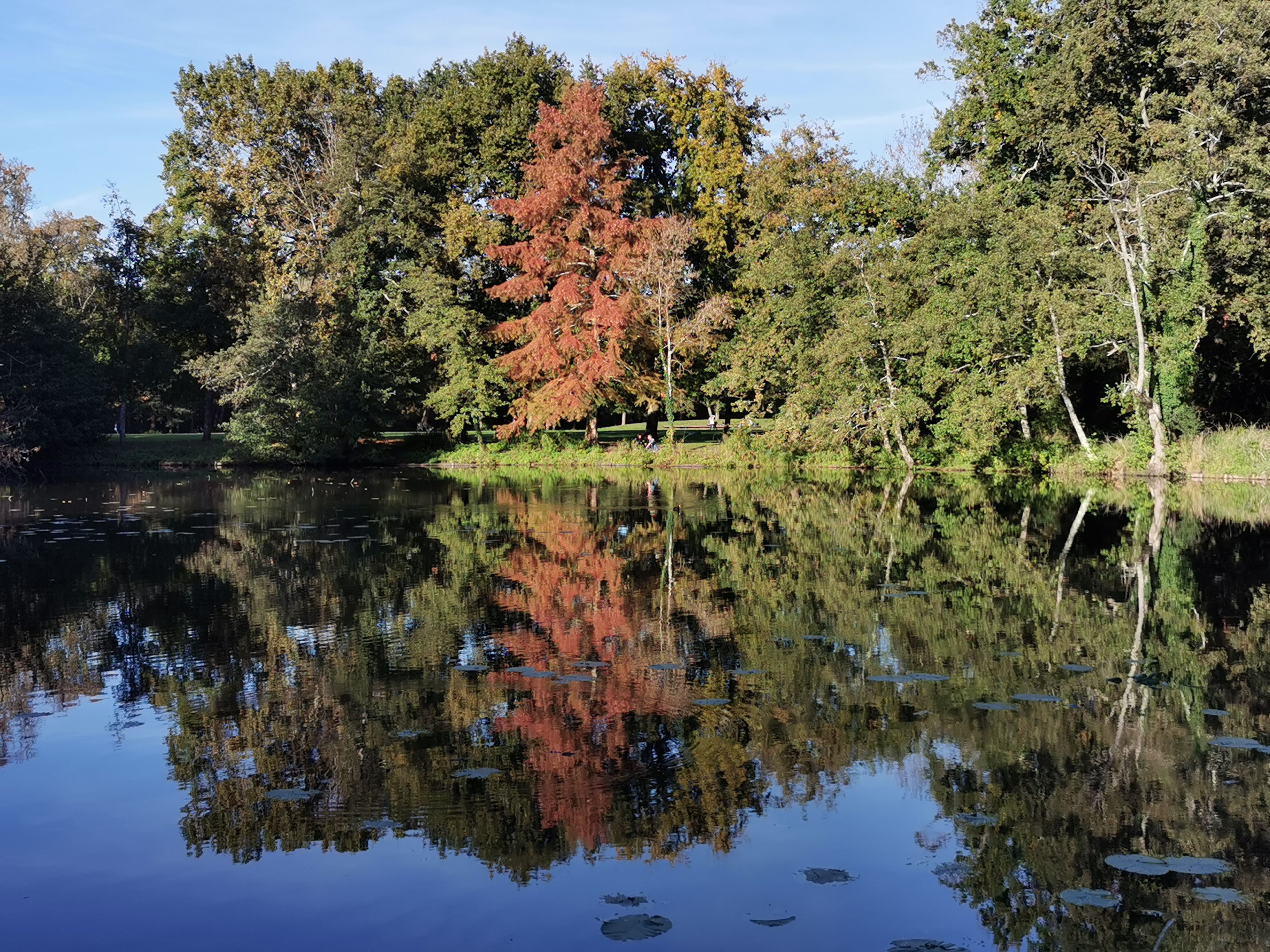 Photo n° 33 de l'avis de Alexandre.l fait le 27/10/2021 à 18:59