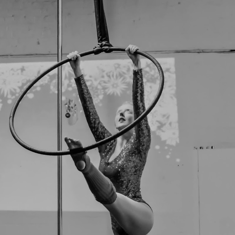 Poleguns Pole And Aerial - The ultimate instructor training
