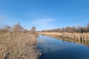 Oostvaarderplassen - Hollandse Hout image