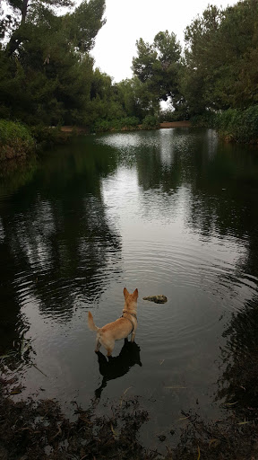 Park «Ernest E. Debs Regional Park», reviews and photos, 4235 Monterey Rd, Los Angeles, CA 90032, USA