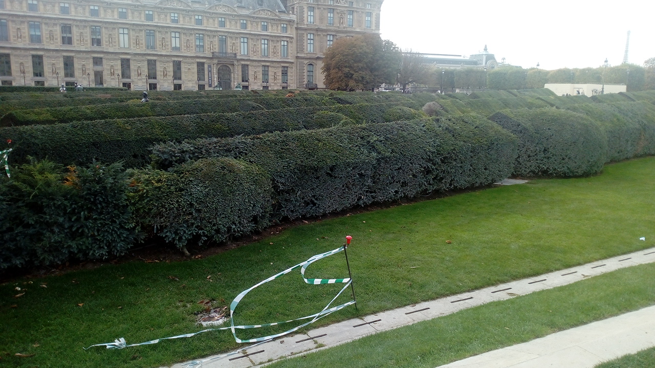 Photo n° 16 de l'avis de Delbart.e fait le 06/10/2019 à 13:25