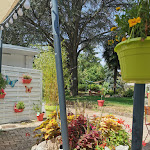 Photo n° 1 de l'avis de Olivier.E fait le 29/07/2020 à 17:20 pour Hôtel Restaurant Le chanel à Meximieux