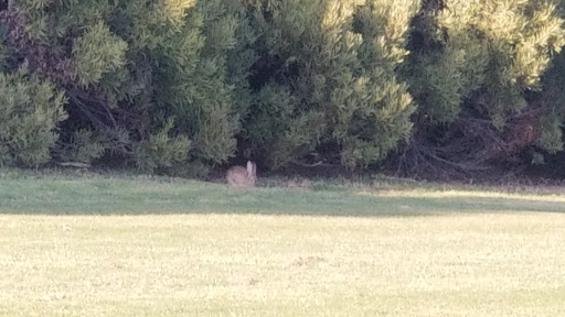 Public Golf Course «Westchester Golf Course», reviews and photos, 6900 W Manchester Ave, Los Angeles, CA 90045, USA