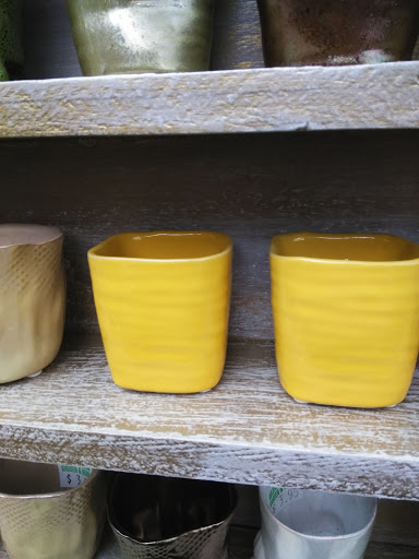 Plant Nursery «Goldner Walsh Garden and Home», reviews and photos, 559 Orchard Lake Rd, Pontiac, MI 48341, USA