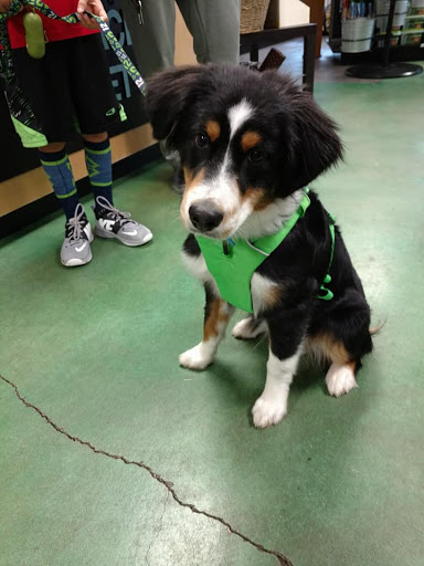 Pet Supply Store «Pet Place Market», reviews and photos, 213 Bendigo Blvd N #2, North Bend, WA 98045, USA