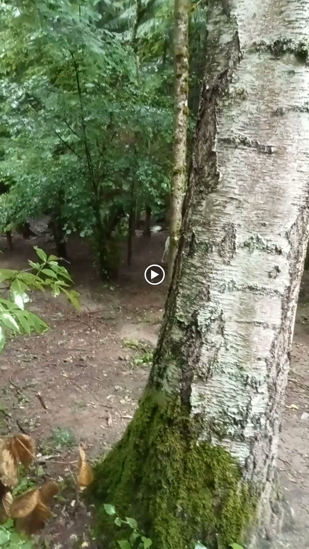 Photo n° 2 de l'avis de Brigitte.o fait le 11/08/2023 à 09:58