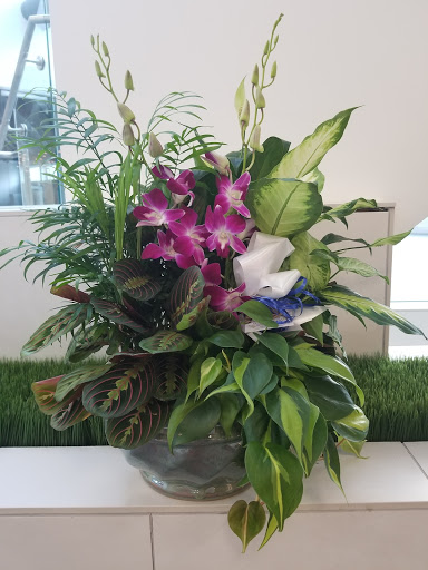 Florist «Event Connoisseur Flowers & Gifts», reviews and photos, 39 New London Turnpike #116, Glastonbury, CT 06033, USA