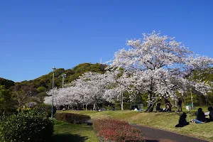 Hinokuma Park image