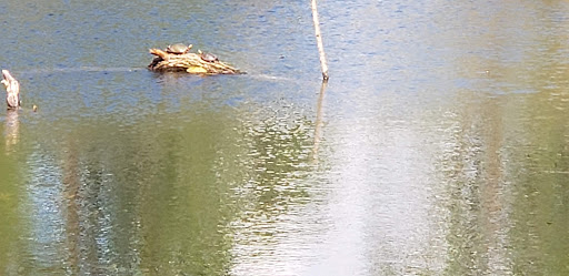 Nature Preserve «Raven Glen Forest Preserve», reviews and photos, 41080 US-45, Antioch, IL 60002, USA