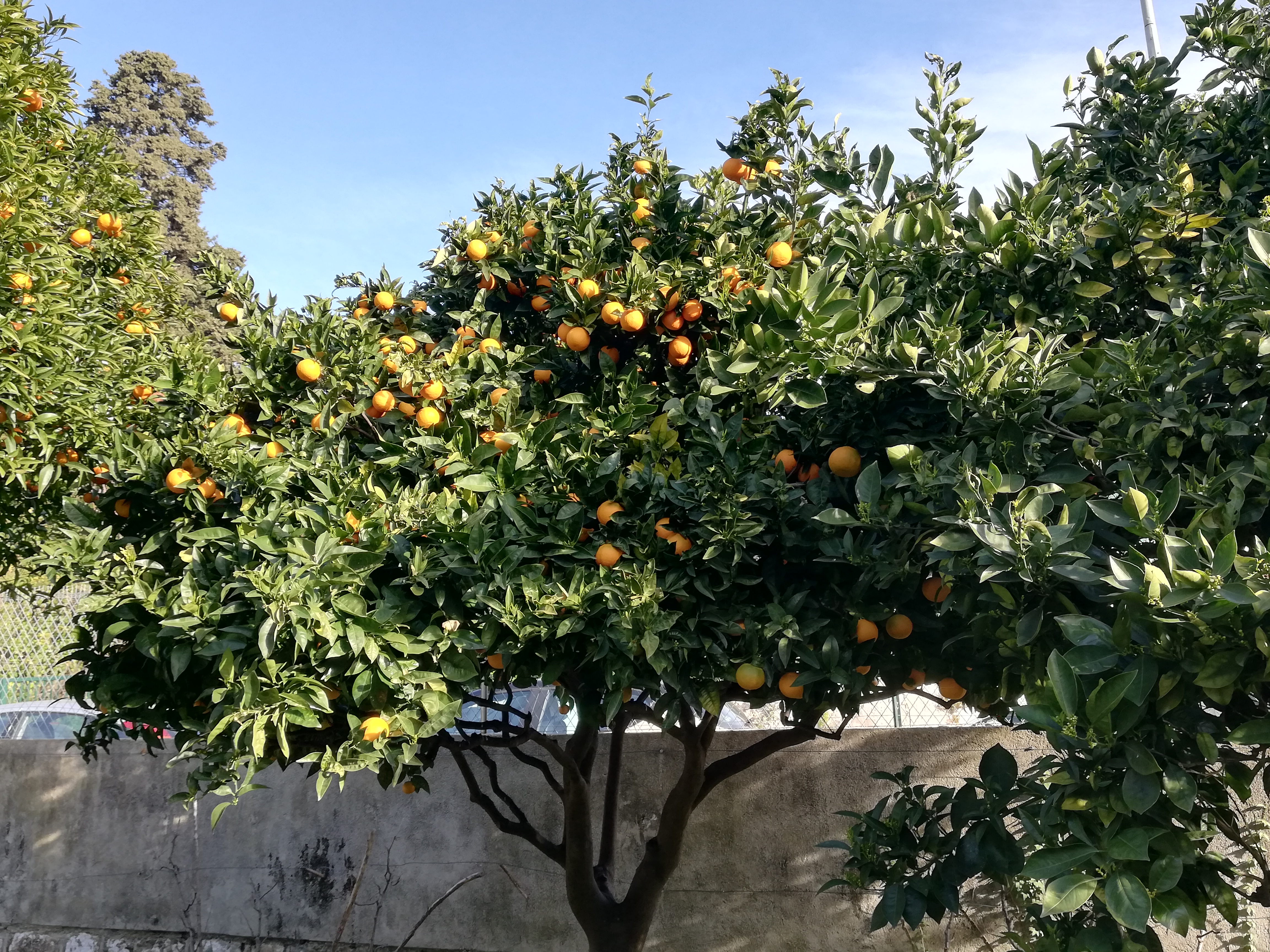 Photo n° 26 de l'avis de Olivier.r fait le 11/02/2020 à 08:58
