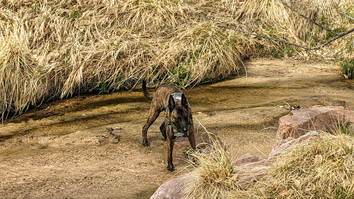 Park «Wildflower Park», reviews and photos, 980 Nolte Dr N, Colorado Springs, CO 80916, USA