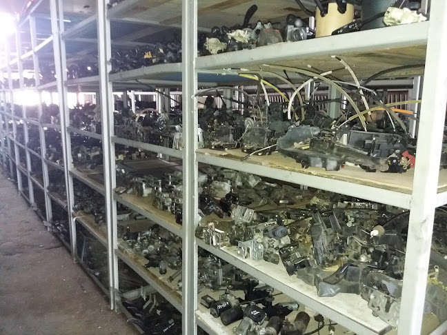 Opinii despre Автоморга Русе | Русеви Кар în Русе - Други