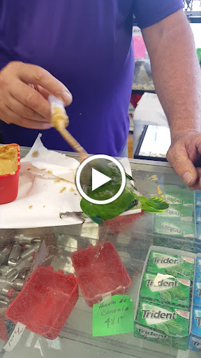 Pet Store «El Palomar Pet Shop Inc», reviews and photos, 4712 W Flagler St, Coral Gables, FL 33134, USA