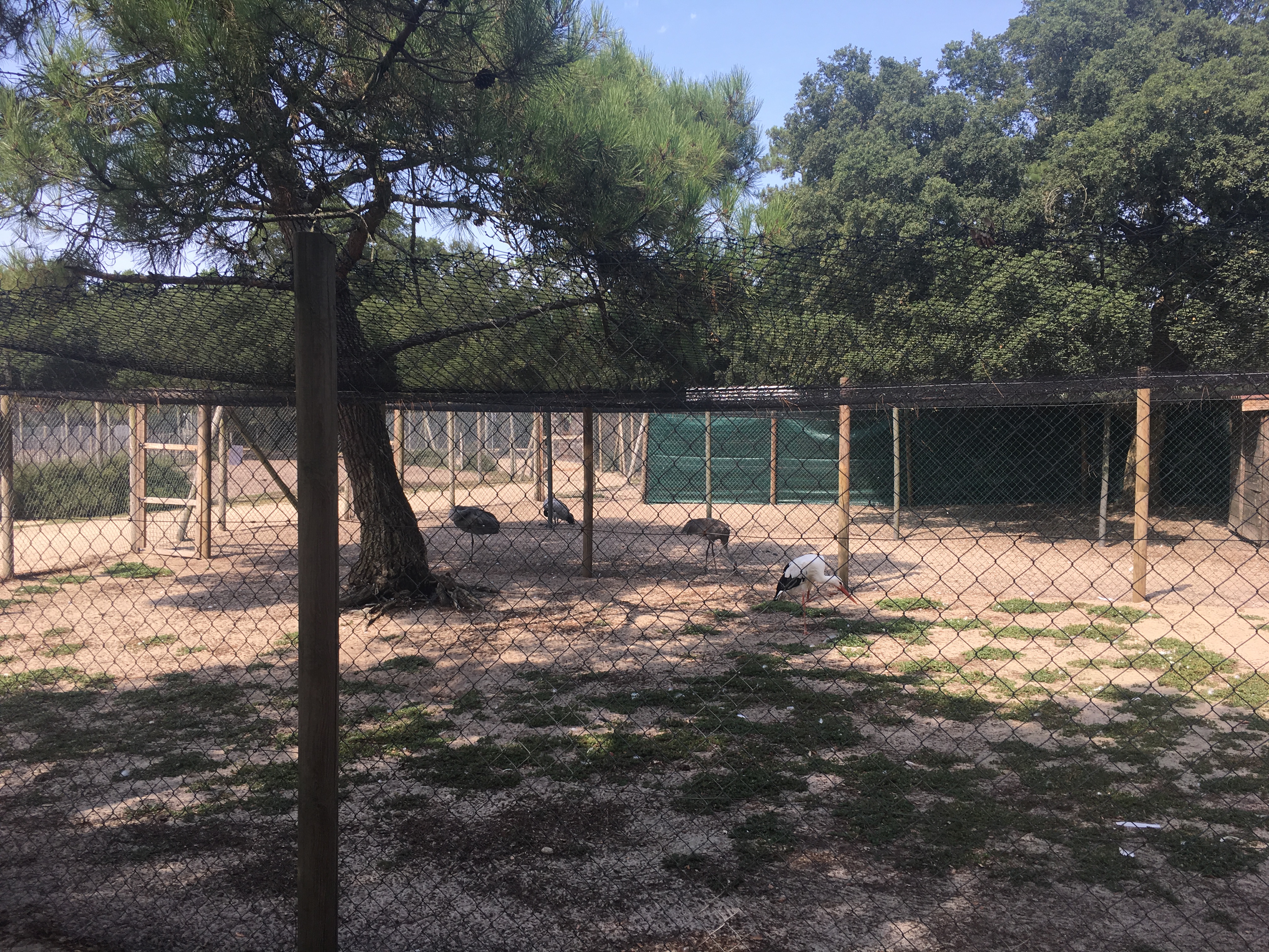 Photo n° 6 de l'avis de Coco.p fait le 24/08/2017 à 14:18
