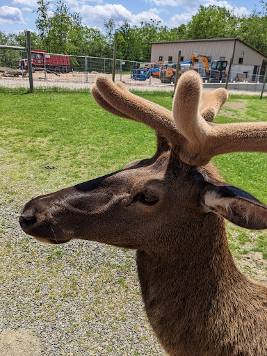 Park «Lake Tobias Wildlife Park», reviews and photos, 760 Tobias Road, Halifax, PA 17032, USA