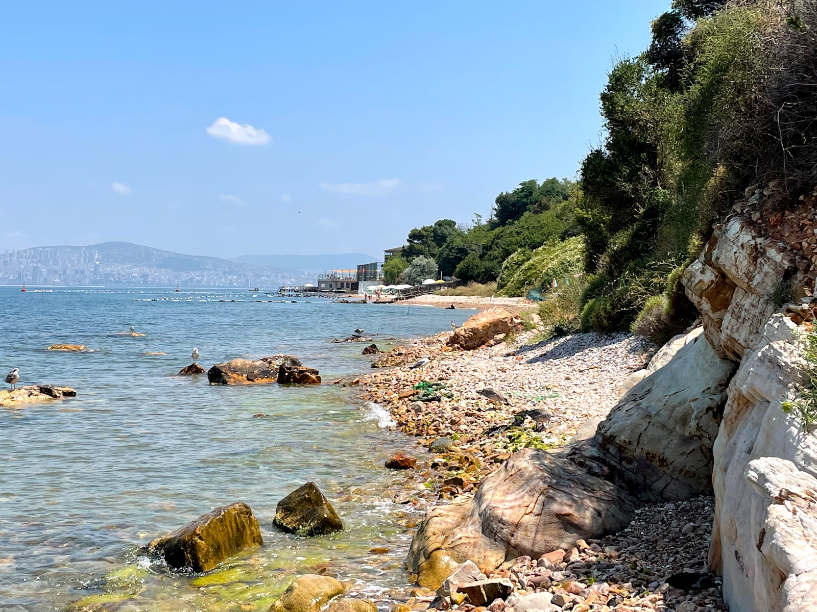 Orsa Cafe - Kumlu Plaji'in fotoğrafı geniş plaj ile birlikte