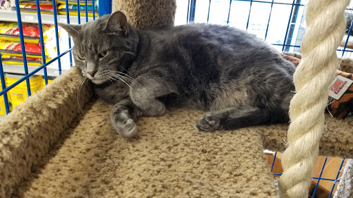 Pet Supply Store «Chow Hound Pet Supplies», reviews and photos, 5811 Byron Center Ave SW, Wyoming, MI 49519, USA