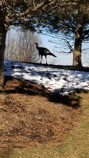 Casino «Hollywood Casino & Hotel Joliet», reviews and photos, 777 Hollywood Blvd, Joliet, IL 60436, USA