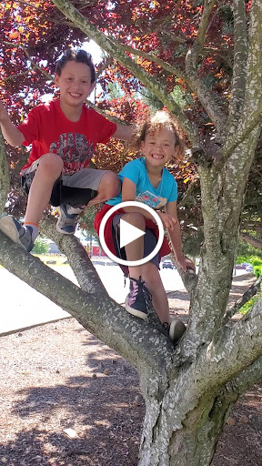 Park «West Fenwick Park», reviews and photos, 3808 S Reith Rd, Kent, WA 98032, USA