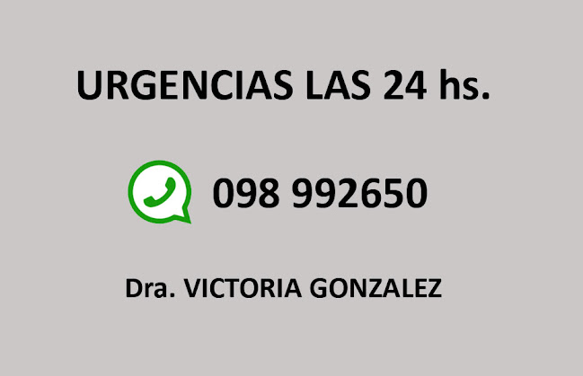 Dra. VICTORIA GONZALEZ - Dentista