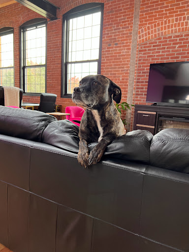 Hair Salon «Gina Bianca Hair», reviews and photos, 930 Meriden-Waterbury Turnpike, Plantsville, CT 06479, USA