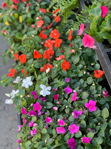 Hardware Store «Pittsburg Ace Hardware», reviews and photos, 125 E Leland Rd, Pittsburg, CA 94565, USA