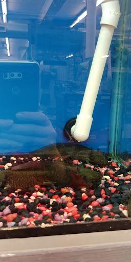 Pet Supply Store «One Stop Country Pet Supply», reviews and photos, 648 Putney Rd, Brattleboro, VT 05301, USA