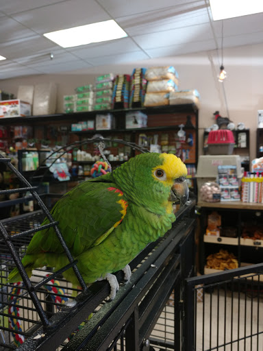 Pet Store «Pet Time», reviews and photos, 3141 W 11th Ave, Eugene, OR 97402, USA