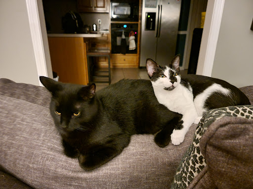 Pet Supply Store «Petco Animal Supplies», reviews and photos, 2358 S Range Ave, Denham Springs, LA 70726, USA