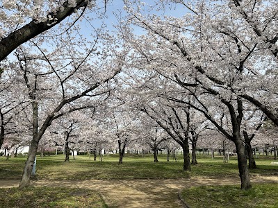小林公園