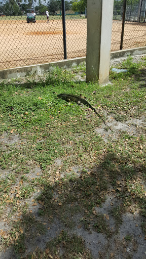Park «Country Village Park», reviews and photos, 6550 NW 188th Terrace, Hialeah, FL 33015, USA