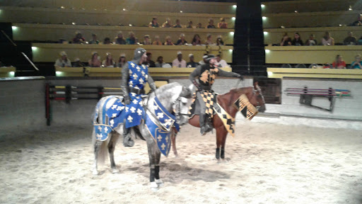 Dinner Theater «Medieval Times Dinner & Tournament», reviews and photos, 5900 Sugarloaf Pkwy #517, Lawrenceville, GA 30043, USA