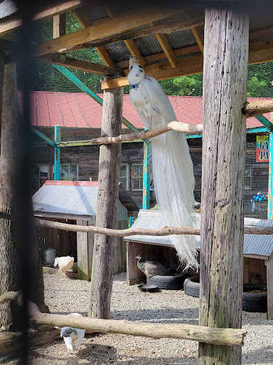 Candle Store «Warm Glow Candle Store», reviews and photos, 2131 N Centerville Rd, Centerville, IN 47330, USA