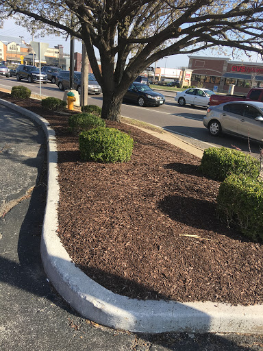 Oil Change Service «Jiffy Lube», reviews and photos, 15849 Manchester Rd, Ellisville, MO 63011, USA