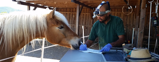 Tierarztpraxis Dr. Abdelah Kharfa - VetChiroDent unter Riedstadt, 