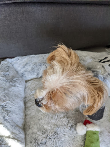 Pet Supply Store «Four Legs Pets Gilberts», reviews and photos, 133 E Higgins Rd, Gilberts, IL 60136, USA