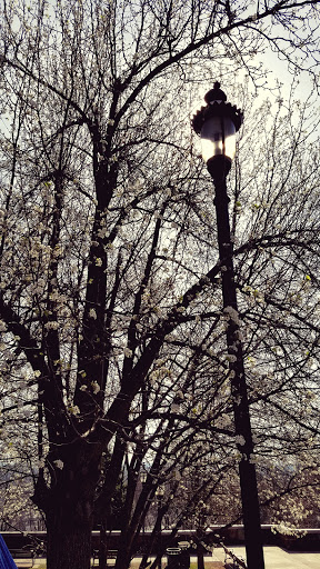 History Museum «Lambert Castle Museum», reviews and photos, 3 Valley Rd, Paterson, NJ 07503, USA