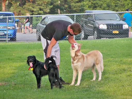 Dog Park «Alameda Dog Park», reviews and photos, 1302 8th St, Alameda, CA 94501, USA
