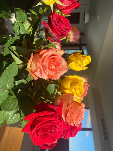 Florist «Best Wishes Floral», reviews and photos, 689 Winnetka Ave N, Golden Valley, MN 55427, USA