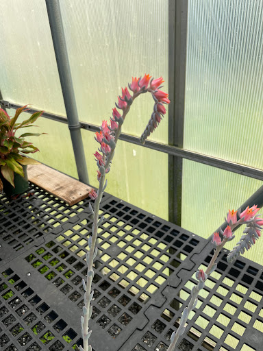 Florist «Country Greenery», reviews and photos, 1518 U.S. 9, Cape May Court House, NJ 08210, USA