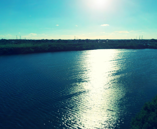 Nature Preserve «Mobbly Bayou Wilderness Preserve», reviews and photos, 423 Lafayette Blvd, Oldsmar, FL 34677, USA