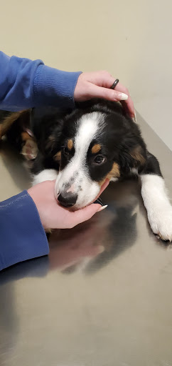 Taylor Veterinary Clinic image