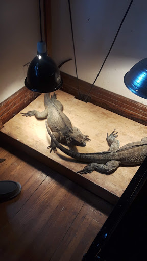 Reptile Store «Pets & Things», reviews and photos, 44825 Van Dyke, Utica, MI 48317, USA