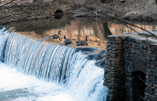 National Park «Valley Forge National Historical Park», reviews and photos, 1400 N Outer Line Dr, King of Prussia, PA 19406, USA