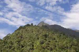 Cerro Pico de Loro o de Oro image