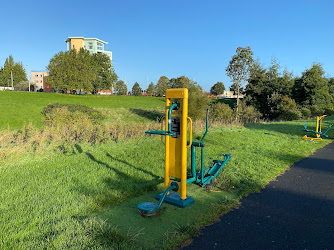 Gym In park
