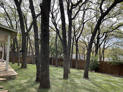 Godoy’s Wolves Tree Service & Landscape LLC