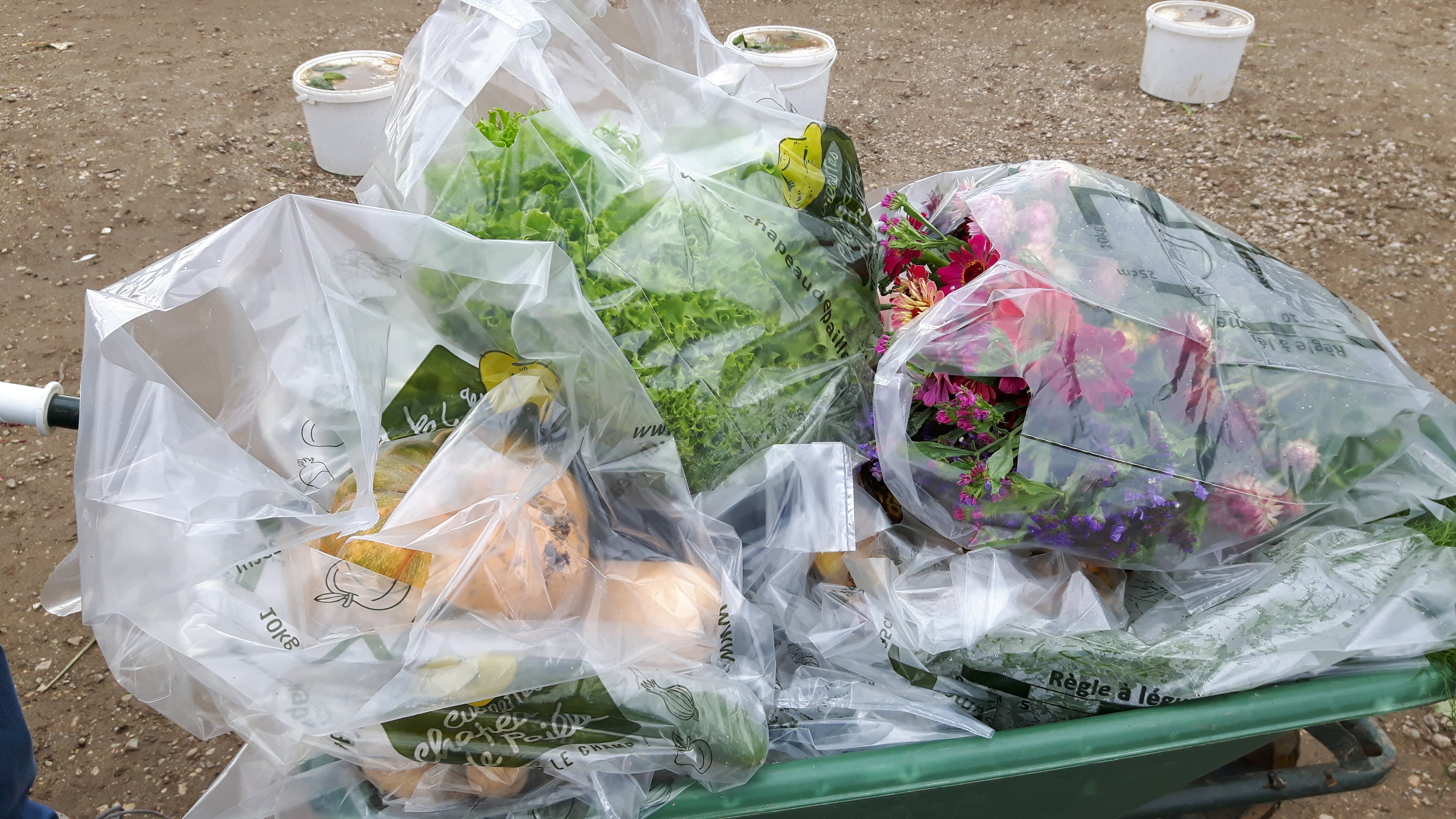 Photo n° 3 de l'avis de Delphes.a fait le 13/10/2020 à 09:41