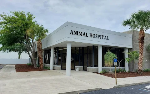 Juno Beach Animal Hospital image